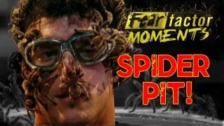 Fear Factor Moments  Tarantula Pit [upl. by Allin787]