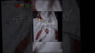 Intazar E Izhar Bintemehrban Novel Novel lovers highlights love cover [upl. by Sedda]