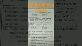 hydrophis in snake [upl. by Georgy]