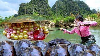 🎁🎁The girl was mesmerized when she pried open the giant clam which was filled with desirable pearls [upl. by Laden]