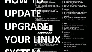 KALI LINUX Updating upgrading distroupgrade and autoremove [upl. by Westberg190]