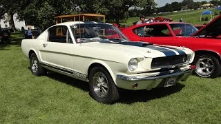 1965 Ford Mustang Shelby GT 350 first year for the Shelby Mustang  My Car Story with Lou Costabile [upl. by Aseram661]