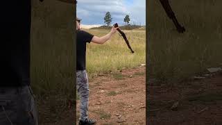 Mares Leg Single Hand Reload Henry 22LR [upl. by Appel]