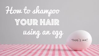 How To Shampoo Your Hair Using An Egg [upl. by Nnahtur117]