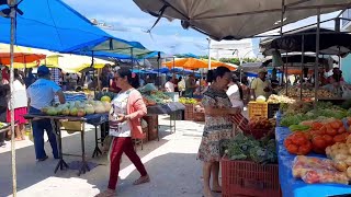 FEIRA LIVRE NA CIDADE DE CARNAUBAL CEARÁ hoje dia 02022024 [upl. by Ayek]