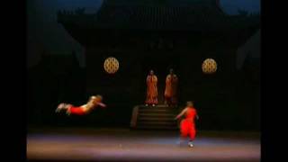 The Shaolin Warriors  the spirit within [upl. by Navetse315]