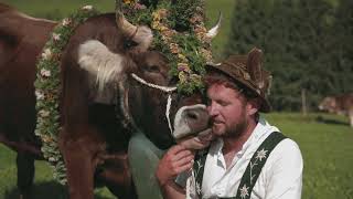 Viehscheid auf der Alpe Mittag 🐄💐 [upl. by Paske]