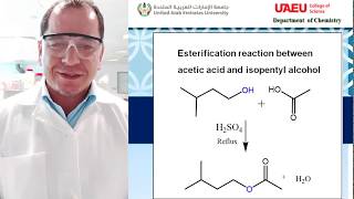 Preparation of Isopentyl Acetate Banana Oil  Dr Abdelouahid Samadi [upl. by Mayes]