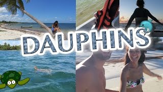 Rencontre avec les dauphins et tortues   VlogauMexique 7 [upl. by Lizette]