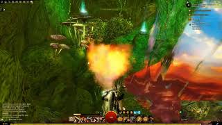 Guild Wars 2  Caledon Forest JP  Spelunkers Delve [upl. by Hayikat99]