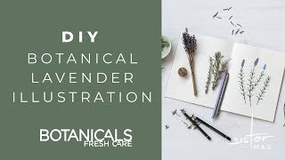 Anzeige  DIY Botanical Lavender Illustration with Botanicals Fresh Care [upl. by Eartnoed]