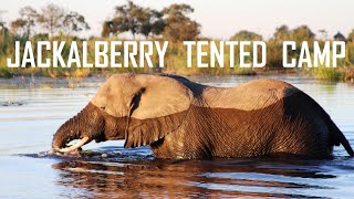 JACKALBERRY TENTED CAMP NKASA RUPARA PARK CAPRIVI NAMIBIA  ДЖАКАЛБЕРРИ КЕМП КАПРИВИ НАМИБИЯ [upl. by Bubalo]