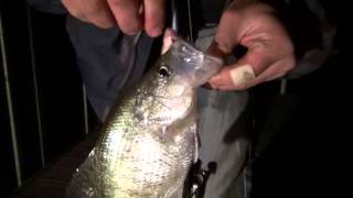 Winter Crappie Night Fishing  OOW Outdoors [upl. by Assenna]