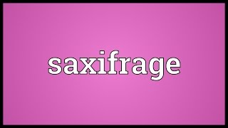 Saxifrage Meaning [upl. by Eus46]