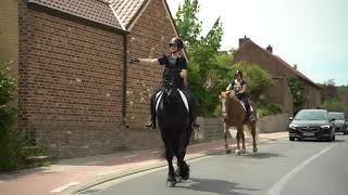 Kijk Uit Paarden in het verkeer [upl. by Attayek]