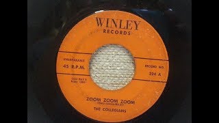 The Collegians  Zoom Zoom Zoom 1958 [upl. by Yntrok]