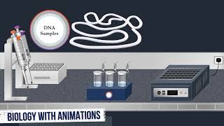 Southern Blot Method  Animated Video [upl. by Atinav]