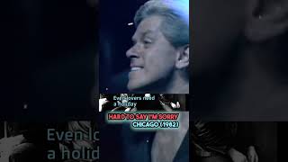 Hard To Say Im Sorry Chicago 1982 karaokeurban [upl. by Mcgrath]