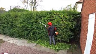 Hedge cutting Trimming a privet hedge [upl. by Aizatsana]