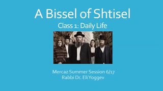 A Bissel of Shtisel pt 1  Daily Life [upl. by Yffub]