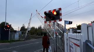 Shelford Level Crossing [upl. by Atinram]