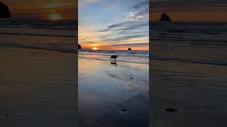 Surreal Sunset on the Oregon Coast relaxing [upl. by Sebbie509]