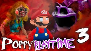 Mario Plays Poppy Playtime 3 [upl. by Epuladaugairam]