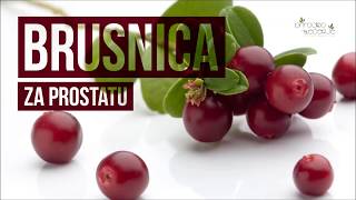 Čaj od Brusnice  Prirodni Lek za Prostatu [upl. by Almena]