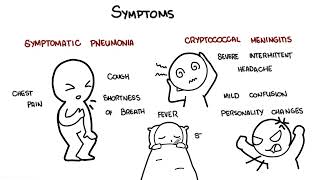 Cryptococcus neoformans infection  symptoms pathophysiology diagnosis treatment [upl. by Marcelo]