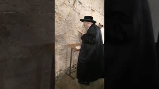 Rachov Rebbe Davening At The Kosel  Tammuz 5784 [upl. by Brightman]