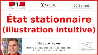 État stationnaire  Illustration intuitive  Thierry Meyer [upl. by Consolata]