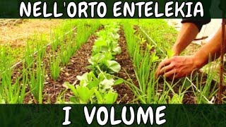 1° Volume INTEGRALE Documentario ORTO Entelekia Alessandro Montelli CAMPOMADRE Agriculture Evolutive [upl. by Savory]