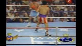 SALVADOR SANCHEZ VS WILFREDO GOMEZ PELEA COMPLETA TONY ANDERE COMPLETE FIGHT [upl. by Zolly]