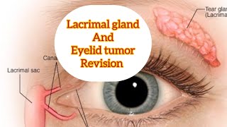 Lacrimal Gland quick revision part 1 and eyelid tumor eyelectures opthalmology jatoi [upl. by Narok]