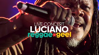 LUCIANO THE MESSENJAH Live At Reggae Geel Festival The Ultimate Performance [upl. by Cotter]