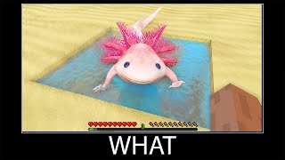 Minecraft wait what meme part 361 realistic minecraft axolotl [upl. by Piselli347]