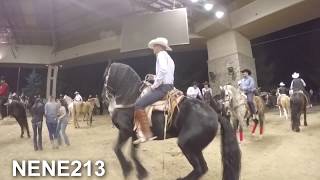 FERIA  DEL CABALLO  ESPANOL 2018 [upl. by Asiuol]