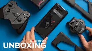 Asus ROG Phone 5 and a Nintendo Switchlike accessory  UNBOXING [upl. by Libre779]