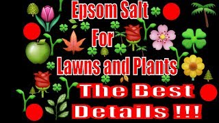 Video About Epsom Salt Biggest Hit Cover More Details Explanation Details and how everything works [upl. by Aimaj]