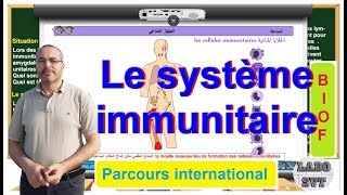 PARCOURS INTERNATIONAL BIOF le système immunitaire la coopération cellulaire [upl. by Nanahs]