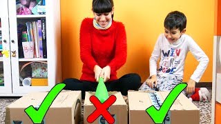 NON ROMPERE LA SCATOLA SBAGLIATA  Do not destroy this box challenge [upl. by Placido]