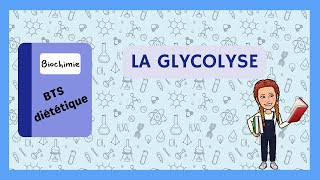 Biochimie  La glycolyse 1 [upl. by Fortin]