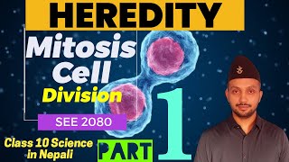 Heredity  Mitosis Cell Division  SEE preparation 2080  Class 10 SCIENCE in Nepali [upl. by Ynahteb]