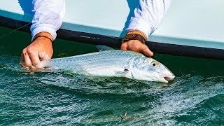 Bonefishing the Islamorada Flats in the Florida Keys [upl. by Ahsin]