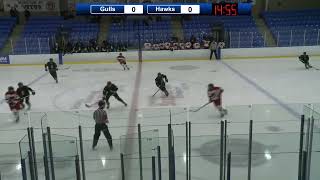 2023 Monctonian U15  The Gulls vs Moncton Hawks [upl. by Nikral]