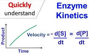 Enzyme kinetics [upl. by Nylodnew]