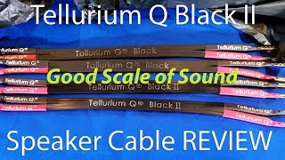 Tellurium Q Black II Speaker Cable REVIEW  Good Scale of Sound Champagne Sound Lemonade Money [upl. by Ayo]