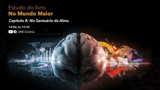 Estudo No Mundo Maior  Capítulo 8  No Santuário da Alma [upl. by Maxfield13]