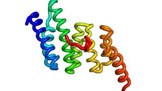 Molecular dynamics trajectory movie [upl. by Abebi]