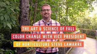 The Art and Science of Fall Color Change [upl. by Naman]